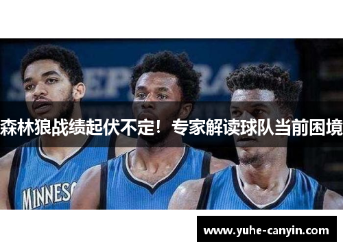 森林狼战绩起伏不定！专家解读球队当前困境